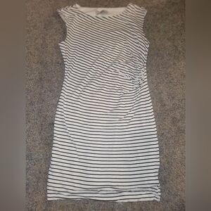 LOFT large petite bodycon dress
